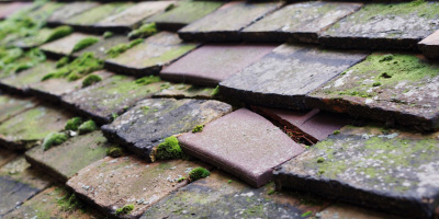 High Cross roof repair costs